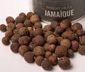 Poivres - Piment de la Jamaïque - Bois d'inde, Piment de la Jamaique, Doica