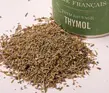 Aromates - Thym Thymol Sauvage
