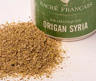 Aromates - Origan Syria sauvage - Origano Syriaca Sauvage