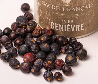Baies de Genièvre - Cette épice aromatique semi-fraîche ressemble à un petit pois charnu d'une couleur bleu sombre violacé. Les baies de genièvre ont un parfum résineux et fort. 