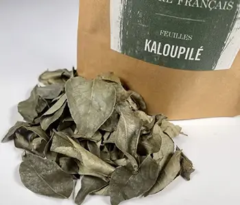 Épices - Kaloupilé