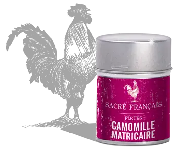 Camomille Matricaire