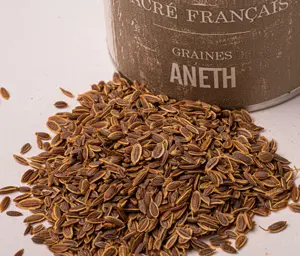 Aneth semence - Cette épice aromatique à la saveurs anisé. elle vous comblera une fois torréfiée puis broyée. 