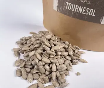 Tournesol - Les graines de tournesol une fois torréfiées auront un goût proche de la noisette. 