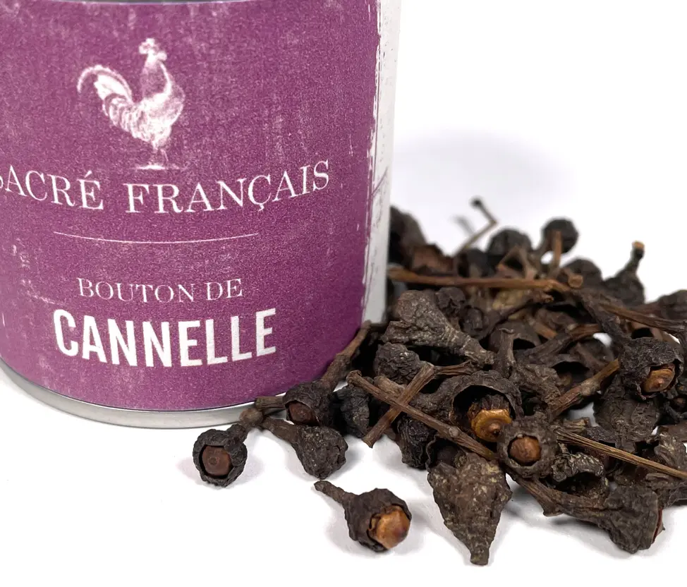 Épices - Boutons de Cannelle - Bouton de fleur de Cannelle cassia