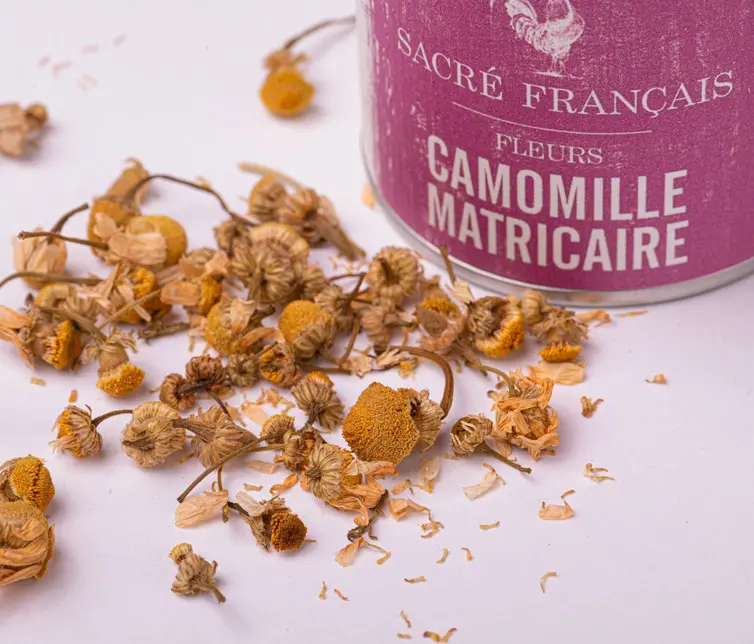 Camomille matricaire tisane