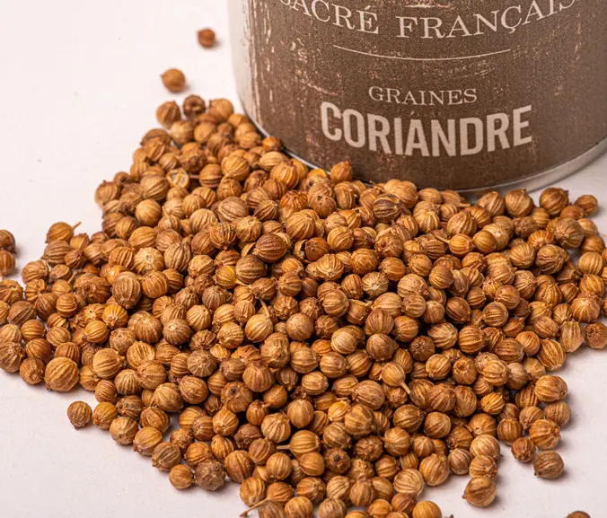 Coriandre en graines - Achat, bienfaits et recettes - MesÉpices.com