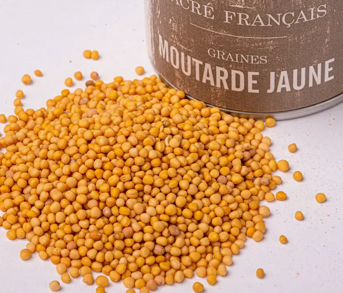 Graines de Moutarde jaune BIO - Graines entières