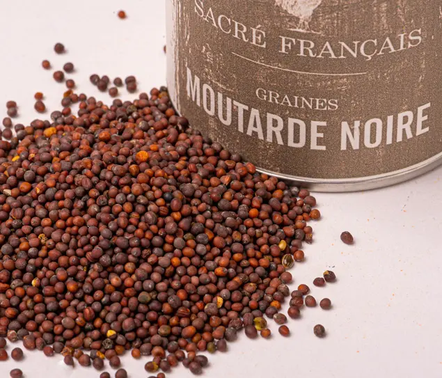 Graines de Moutarde Noire: Bahadourian, Graines de Moutarde Noire Sachet  100g, Epices