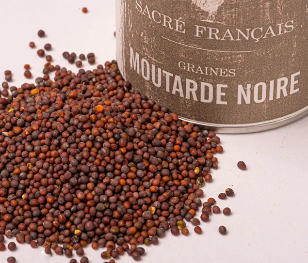 Moutarde, condiment en poudre - mélange pour épicer et saler