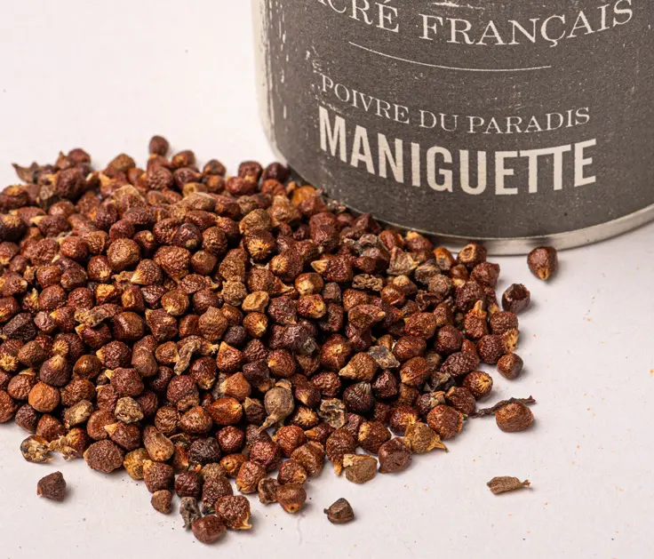 Poivres Sacré français - Faux Poivres - Côte d'Ivoire - Poivre du paradis - Maniguette - Ce faux-poivre présente un goût unique, chaud et légèrement épicé avec des notes de cannelle, de gingembre et de cardamome. Il apporte une originalité exotique à vos plats, sans avoir la force du poivre noir. Idéal pour rehausser les marinades, les viandes blanches, ou les plats de poisson, il se saupoudre avec parcimonie pour un résultat délicat et savoureux.