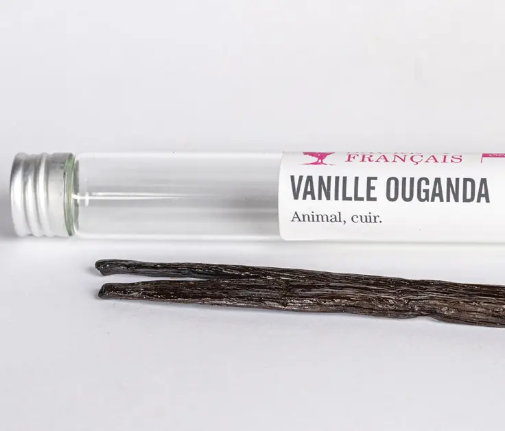Vanilles - Vanille Ouganda