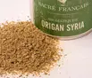 Aromates - Origan Syria  - Origano Syriaca Sauvage