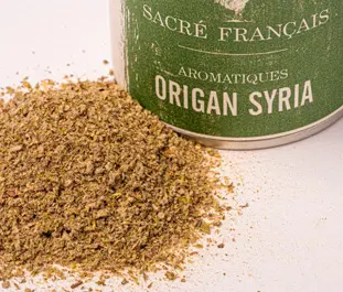Aromates Sacré français - Herbes de culture - feuilles - Origan Syria  - Variété typique des montagnes du Liban, cette herbe, aussi appelée «Zaatar» - qui signifie «thym» en arabe -, révèle des arômes puissants, herbacés, aux notes de thym thymol et d’origan vert. Cette variété accompagnera vos grillades, salades, pizzas et sauces tomate.