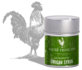 Origan Syria sauvage