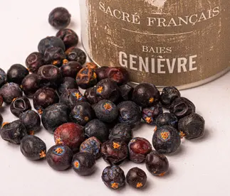 Épices Sacré français - Épice entière - Graines - Baies de Genièvre - Cette épice aromatique semi-fraîche ressemble à un petit pois charnu d'une couleur bleu sombre violacé. Les baies de genièvre ont un parfum résineux et fort.