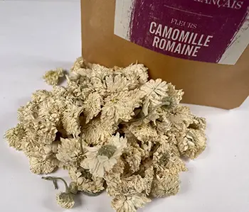Tisanes Sacré français - Fleurs - Bien être - Camomille Romaine - Les fleurs de camomille romaine aux parfums doux et agréables, sont à boire en tisane après chaque repas. Elles facilitent la digestion.