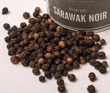 Poivres Sacré français - Vrais Poivres - Bornéo Malaisie - Poivre noir Sarawak - Ce poivre puissant en bouche, fleuri et fruité, se distingue par ses notes balsamique et animal qui se terminent sur des notes végétales qui font penser au cèdre. C'est l'épice parfaite pour rehausser les saveurs sans être trop envahissante. Idéal dans les marinades, les viandes grillées, ou même sur des légumes rôtis, ce poivre ajoutera une touche d'élégance à votre cuisine.