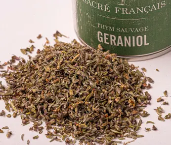 Aromates Sacré français - Herbes sauvages - Feuilles - Thym Geraniol Sauvage - Herbe aromatique aux arômes uniques, caractérisée par ses notes florales d'agrumes, citron et mandarine, le thym geraniol sauvage se distingue par sa capacité à parfumer subtilement vos plats sans les dominer. Idéal pour assaisonner vos viandes, poissons, sauces et légumes, il apporte une touche délicate de fraîcheur à vos préparations ou rafraîchissante en infusion.