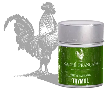 Thym Thymol Sauvage