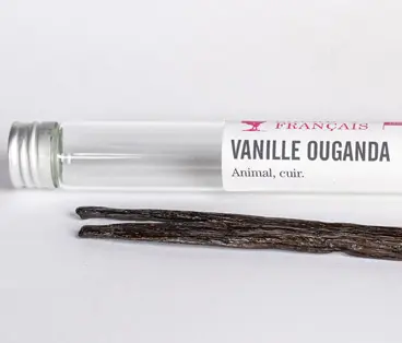 Vanilles Sacré français - Gousse - Ouganda - Vanille Ouganda - 2 gousses -  La Vanille gourmet d'Ouganda se caractérise par ses notes de cuir et de caramel chocolaté et sa robe brun foncé. Sa gousse est large et plate. Il s'agit d'une variété Planifolia comme celle de Madagascar ou des Comores et sa culture a émergé ces dernières années. Sa production encore confidentielle est grandement prometteuse. Ses arômes particuliers lui permettent des associations avec le chocolat, les fruits et aussi les plats en sauce.