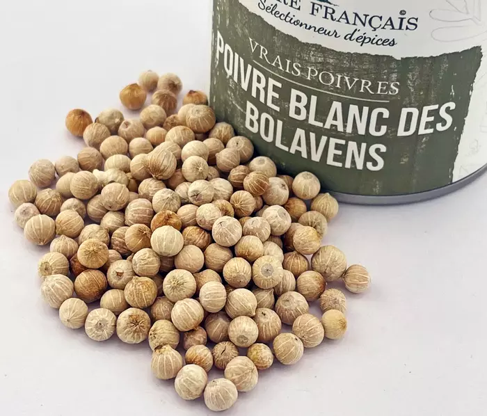 Poivres Sacré français - Vrais Poivres - Laos - Poivre blanc Bolavens - Un trésor du Laos à la palette aromatique complexe, où la puissance des épices se mêle à la finesse de notes fruitées, créant ainsi un équilibre unique.